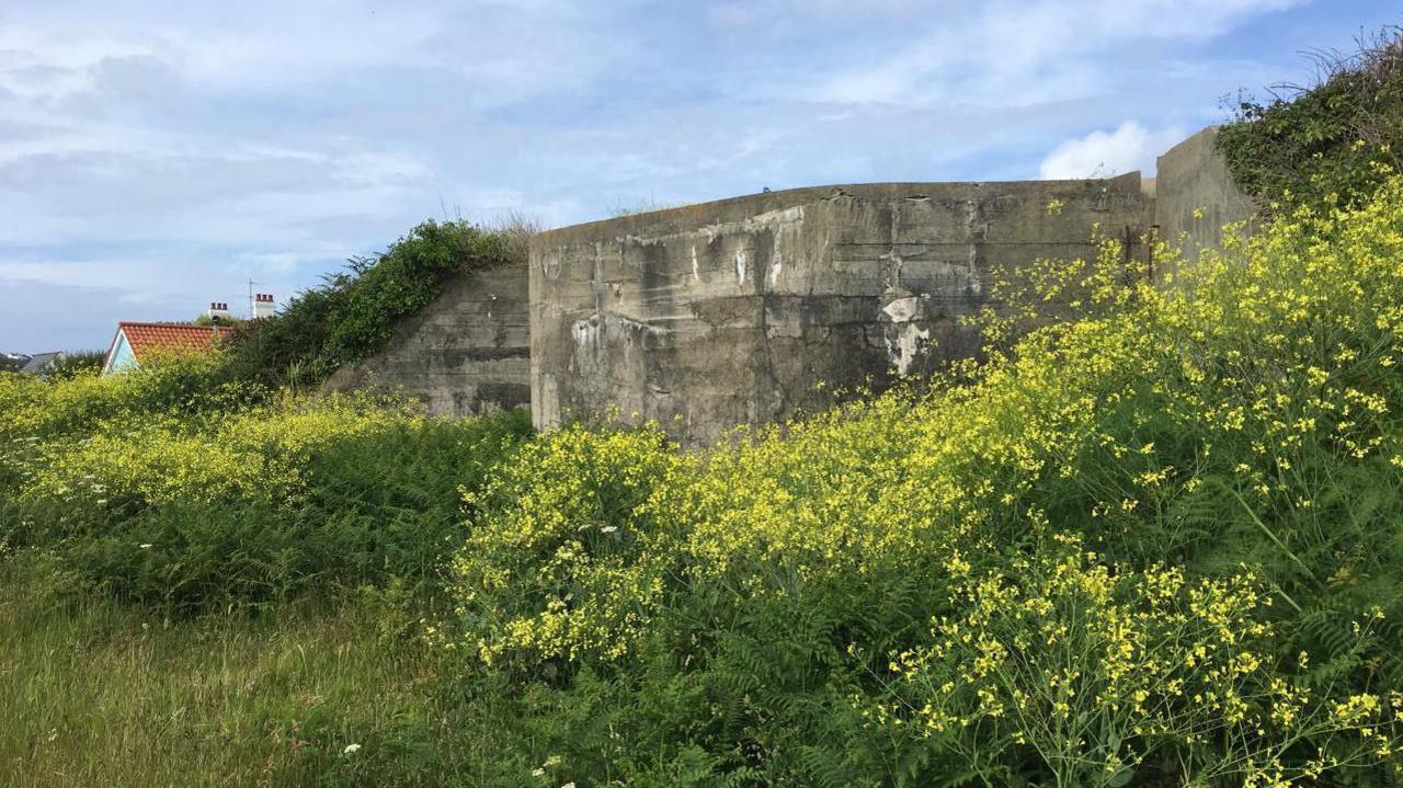 A concrete bunker in the middle of green grass and yellow flowers