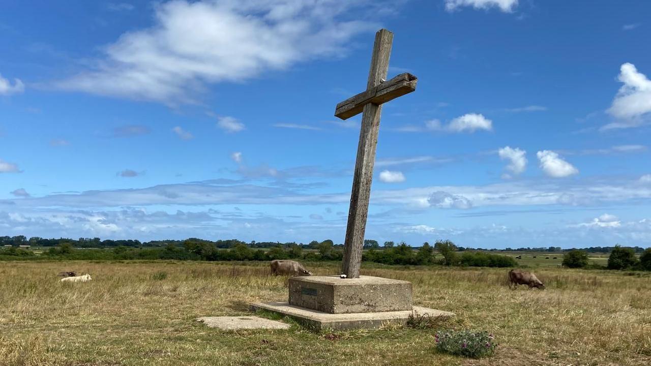A large wooden cross in a field with cattle grazing around it. The cross is tilting backwards.