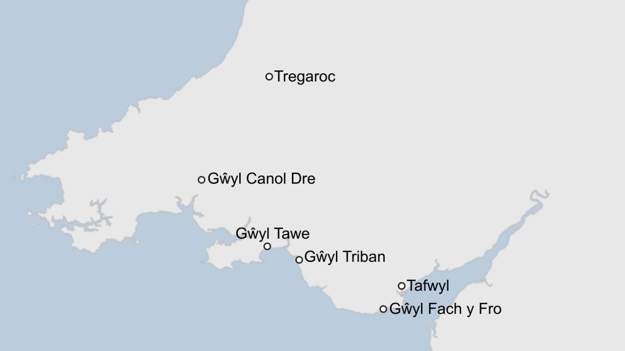 Mao o rai o wyliau cerddorol De Cymru