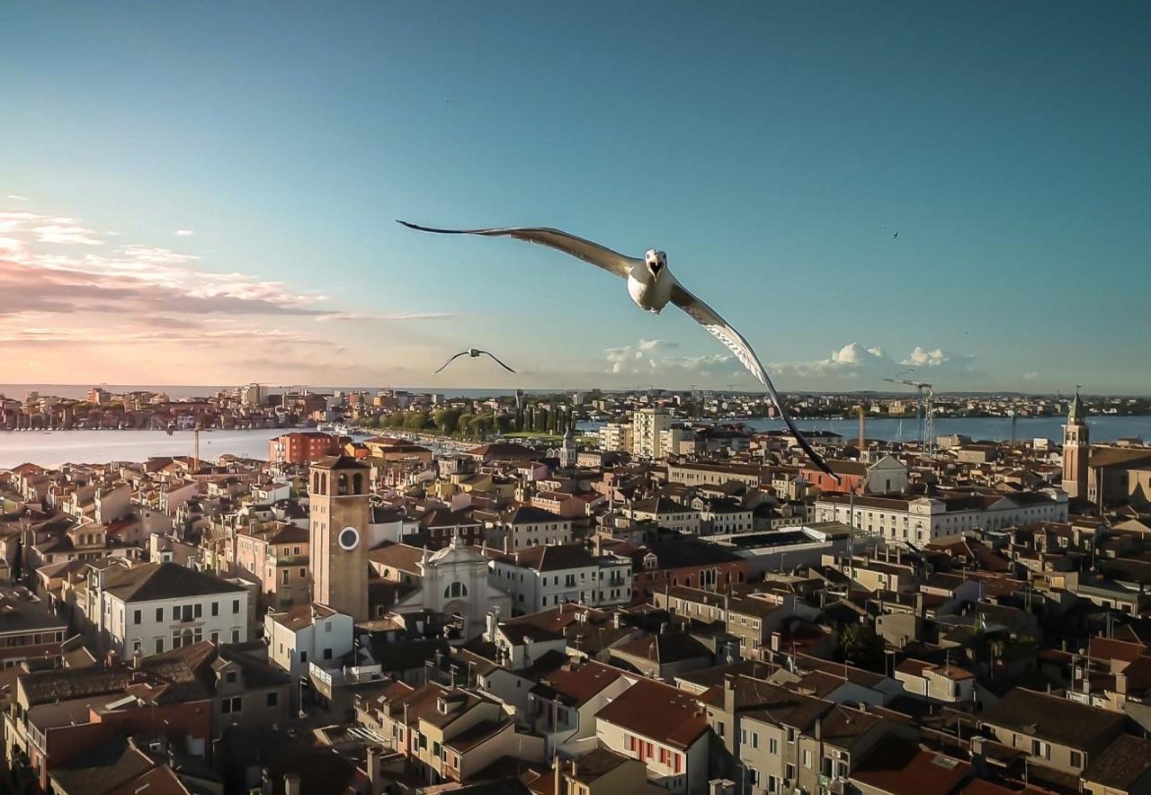 Things don't always go to plan when you are taking photos with drones! This seagull seems to be getting annoyed with the buzzing invader! At least photographer Alvise Bagagiolo managed to get this brilliant photo!