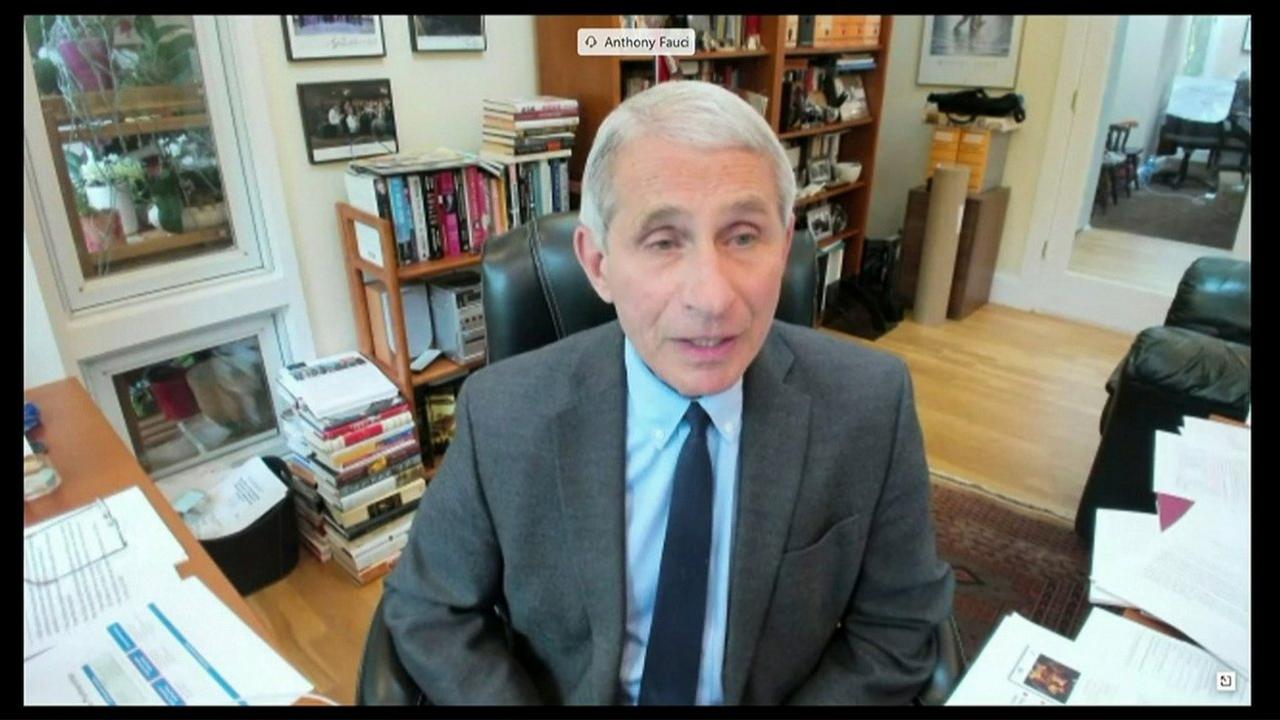 Anthony Fauci on Zoom