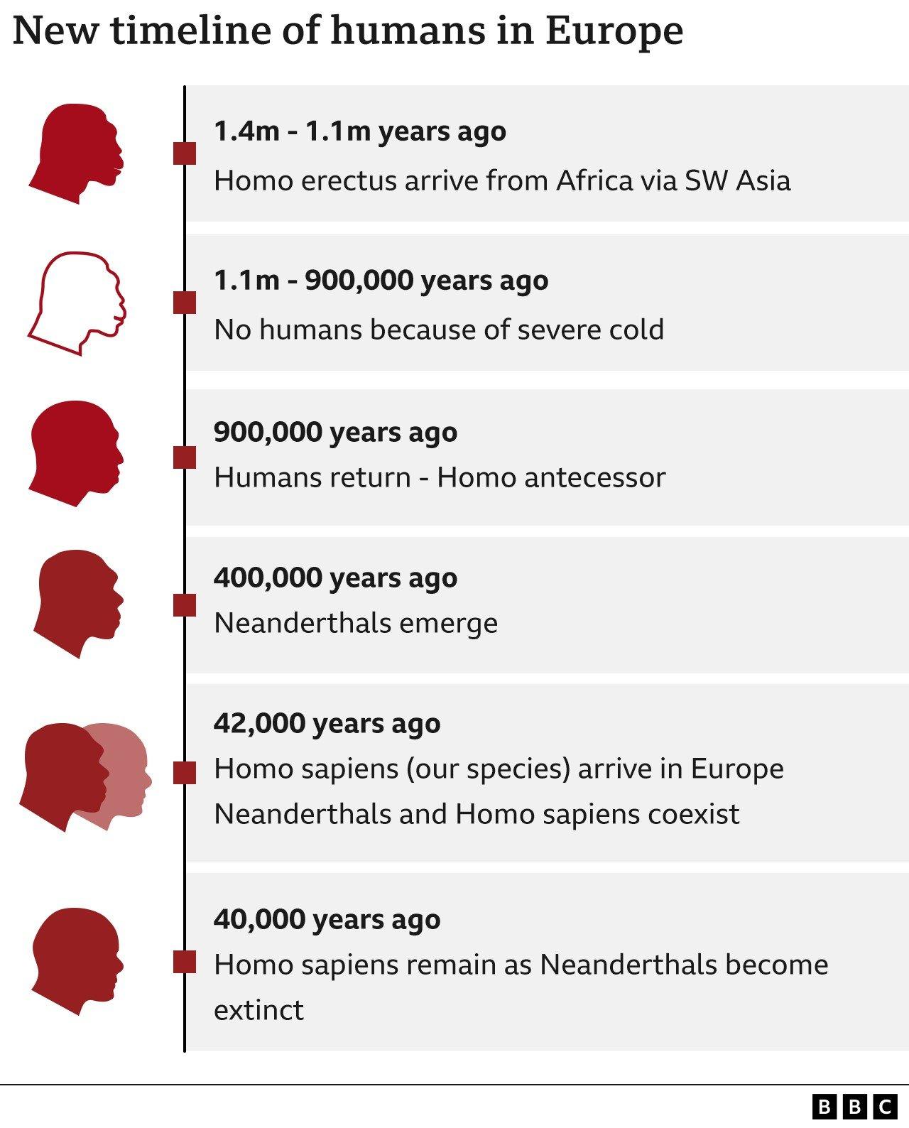 Graphic of human evolution in Europe