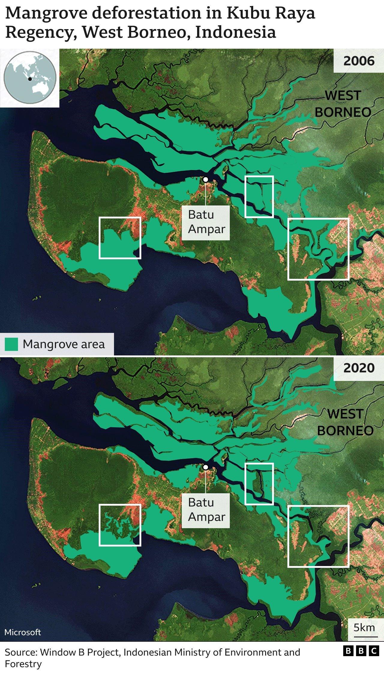 BBC graphic showing deforestation in the region from 2006 to 2020