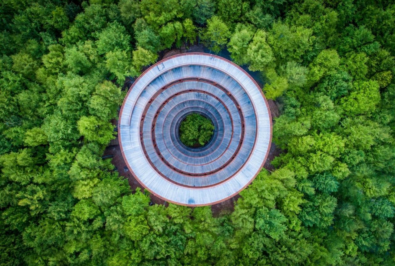 tower in forest