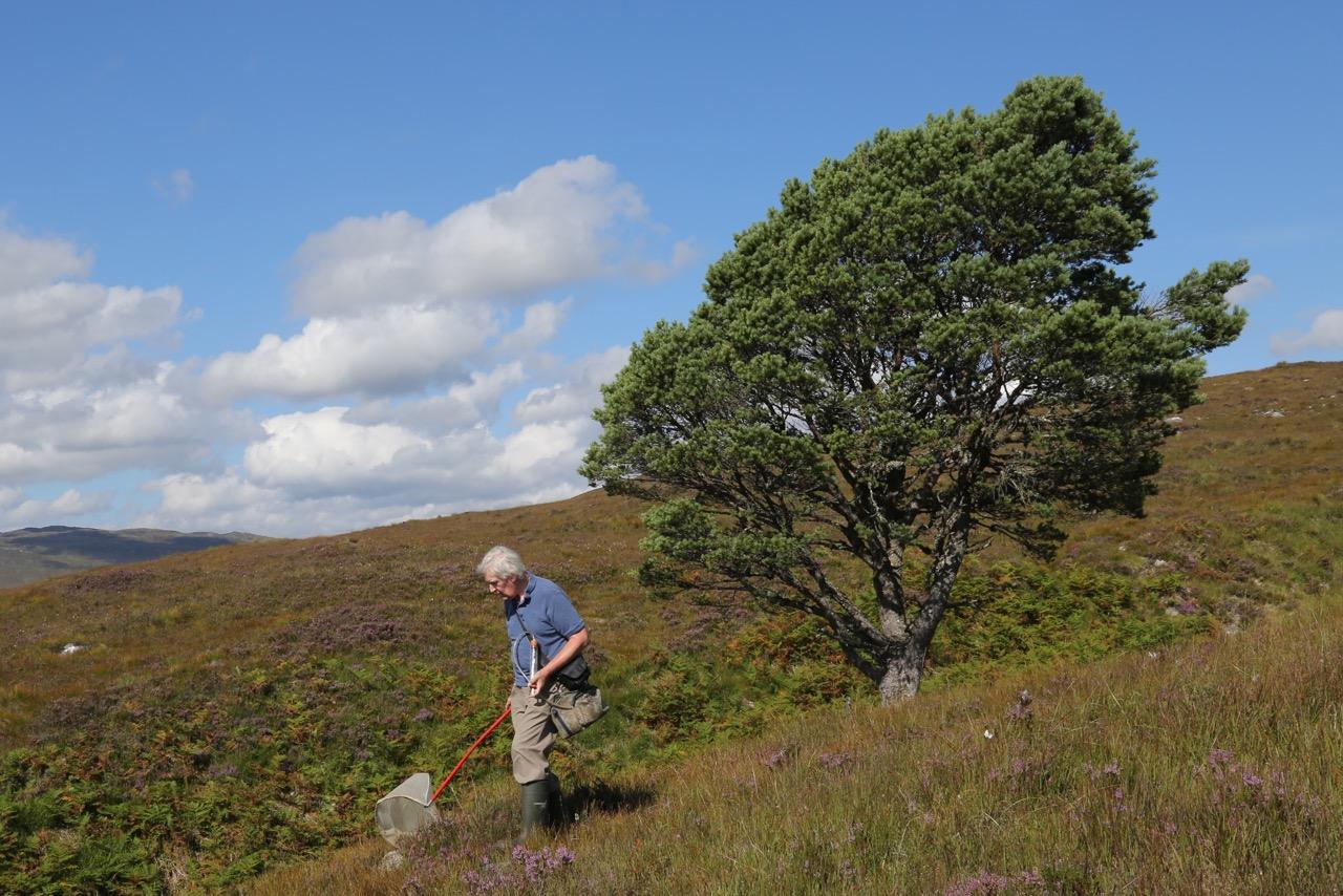 Entomologist Peter Chandler