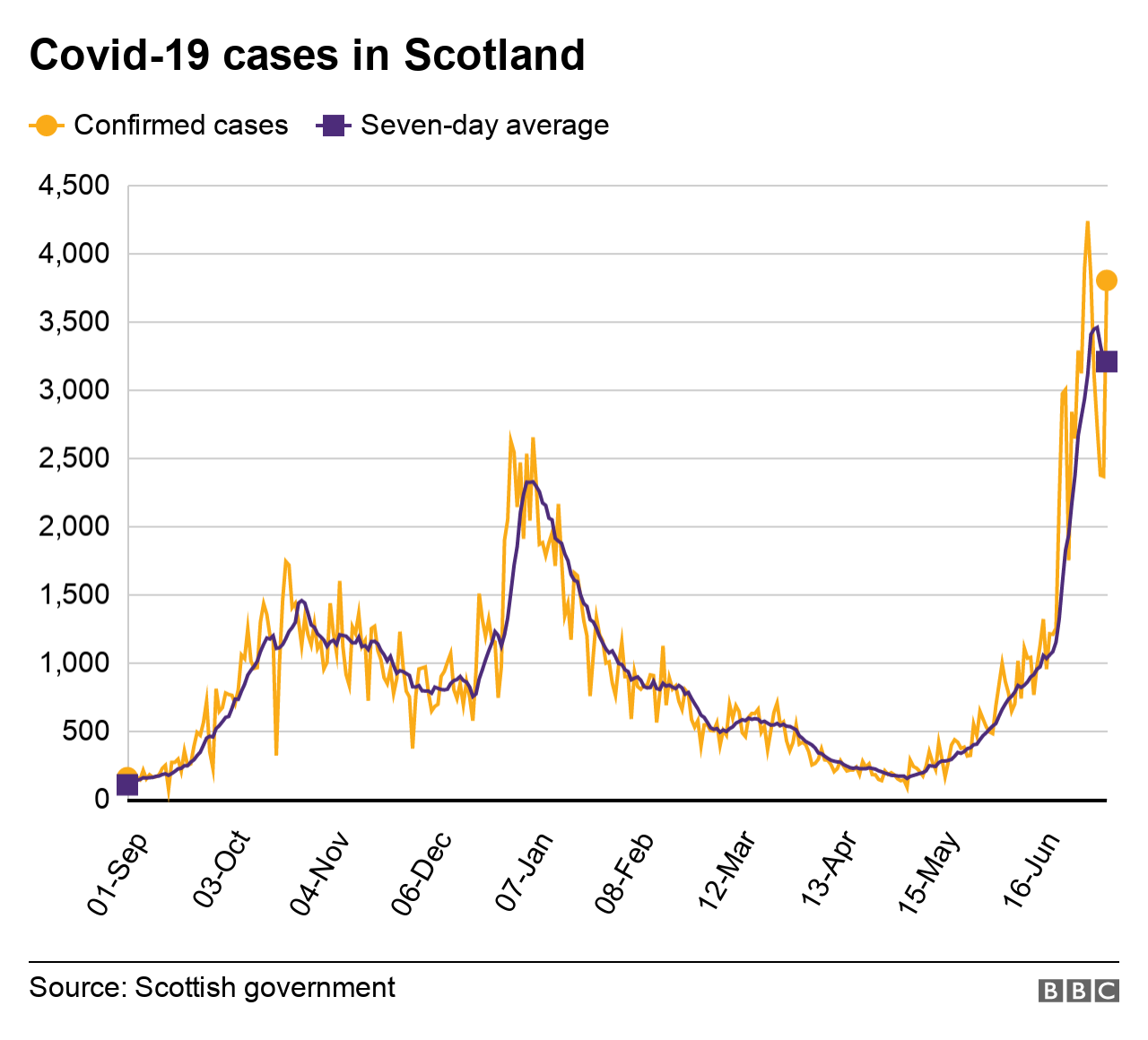 Confirmed cases