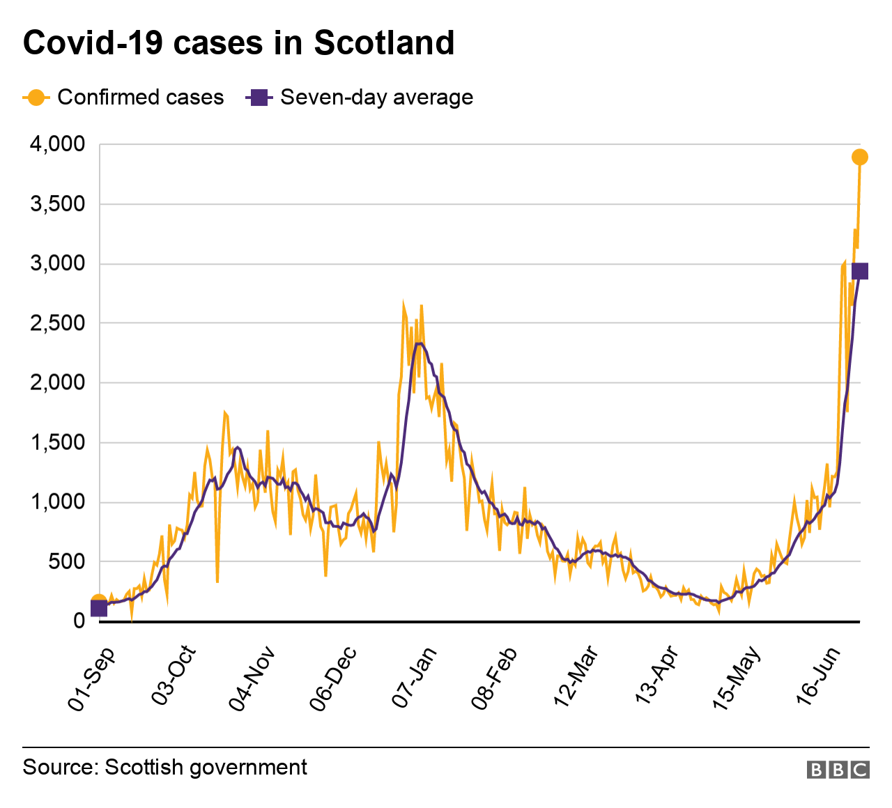 cases 30 june