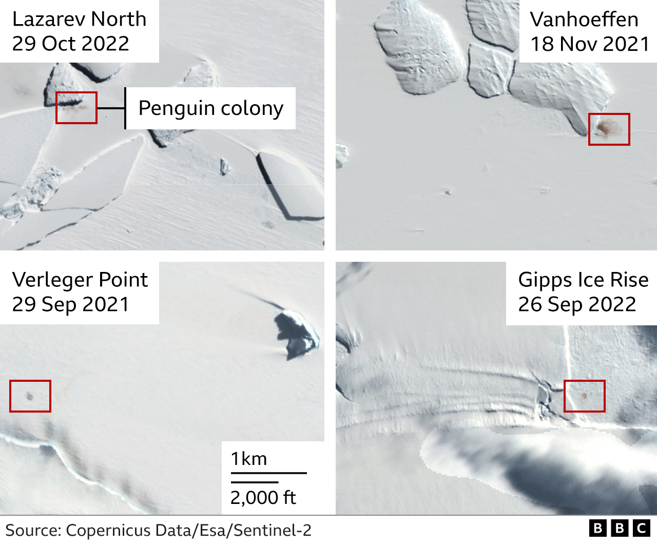 Satellite images