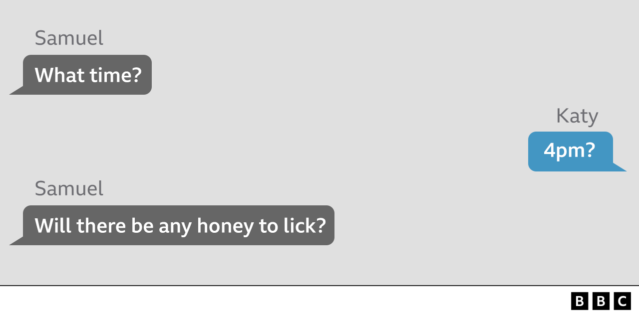 Messages: Samuel: What time? Katy: 4pm? Samuel: Will there be any honey to lick?