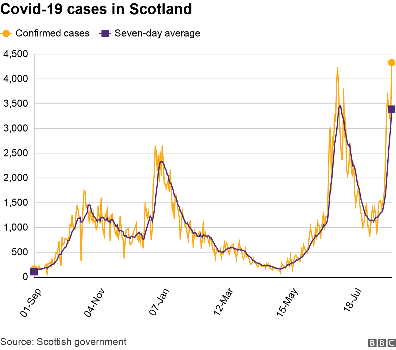 daily cases