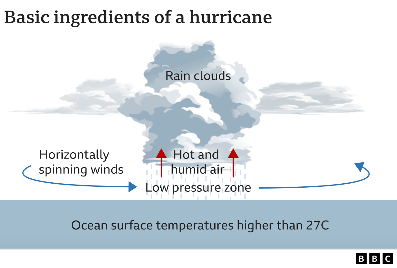 Graphic showing the basic ingredients of a hurricane - rainclouds, rising hot and humid air and low horizontally spinning winds above the sea. The ocean temperature needs to be above 27C.