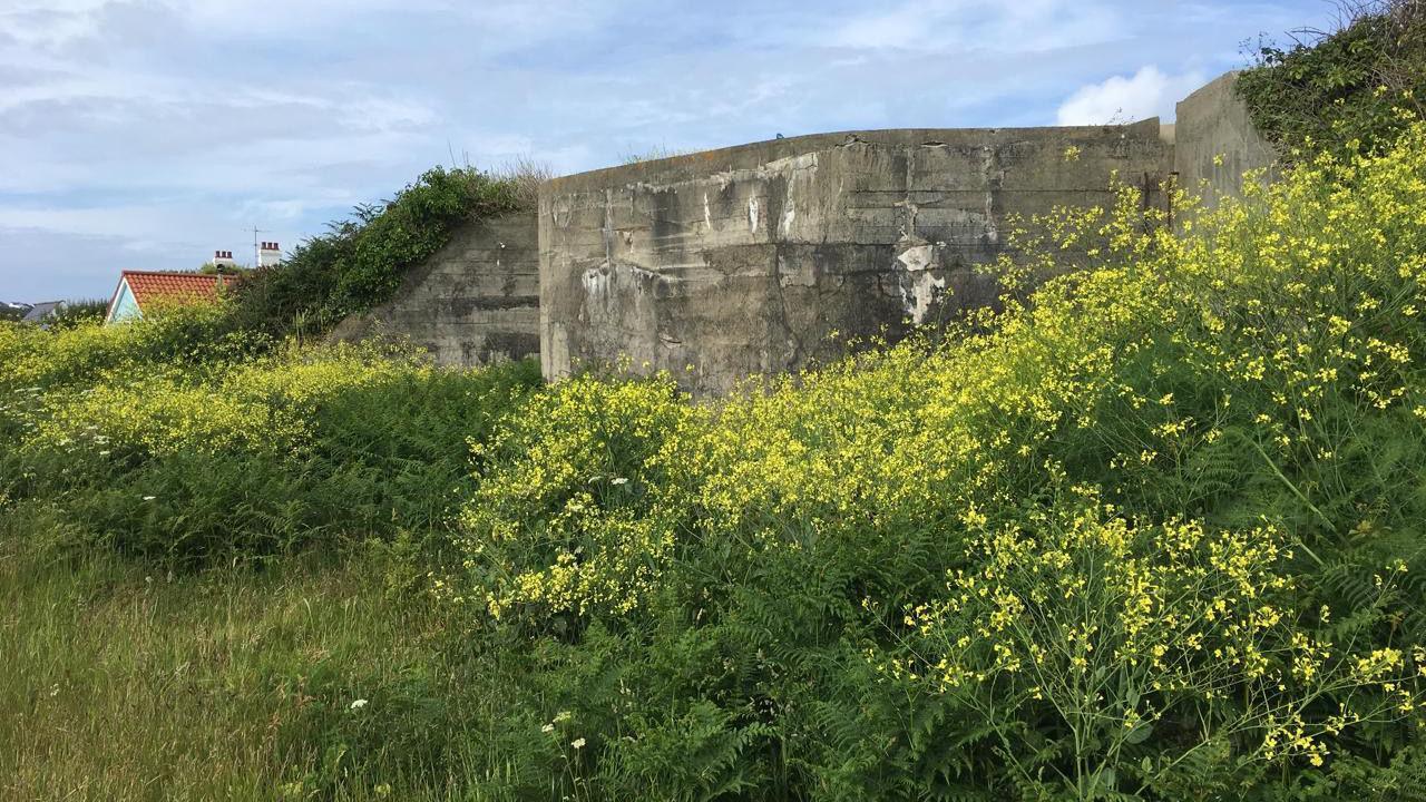 The bunker before work on the structure began.