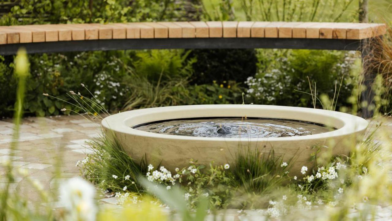 A rippling pool of water surrounded by wild grass