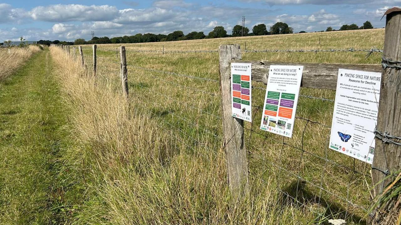 The educational signs at Surrey Hills