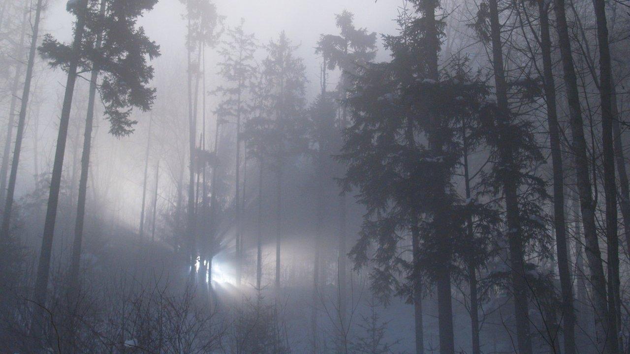 Lights in Rendlesham Forest