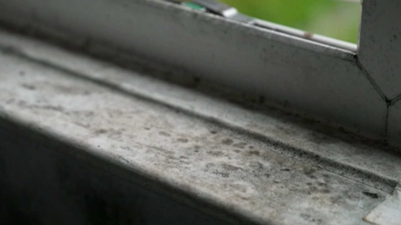 A mouldy window sill