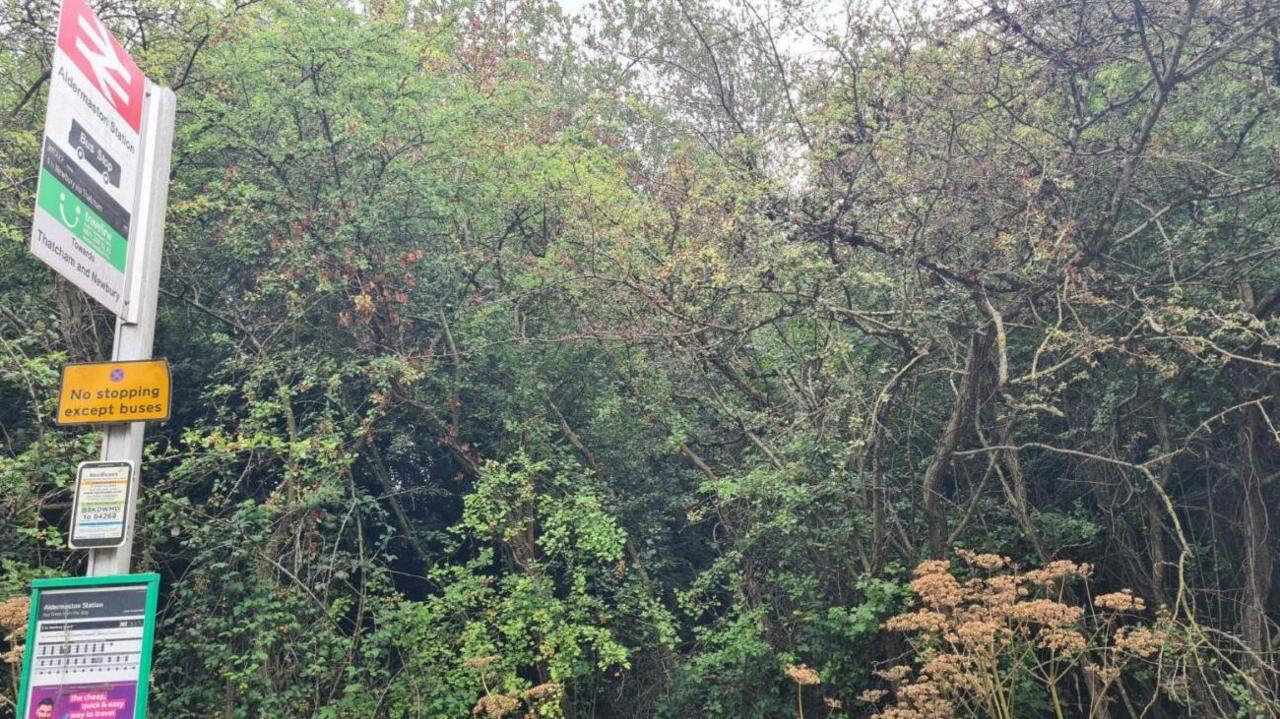 Large trees and undergrowth fill the space behind a concrete post on the left-hand side of the image with a railway and bus sign.