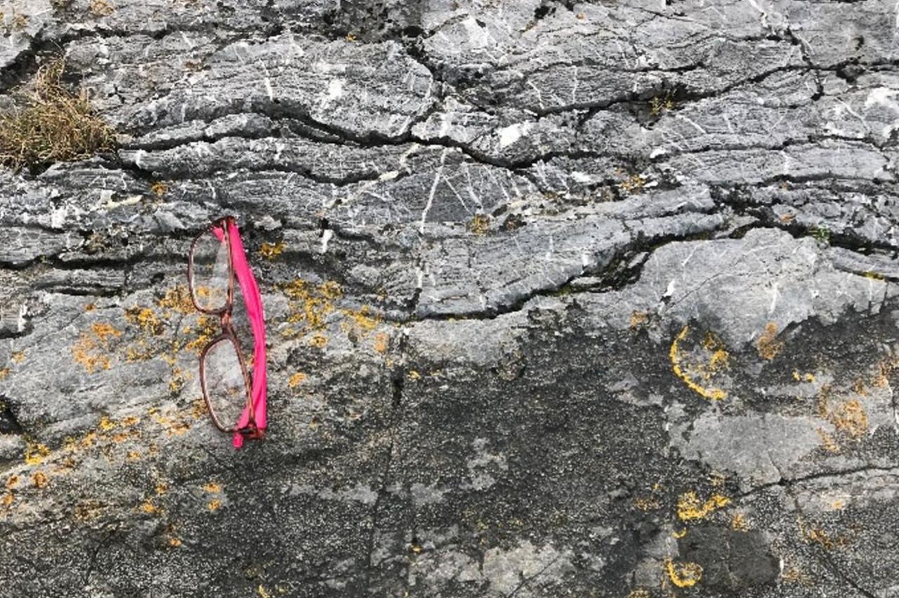 Stromatolitau yn y calchfaen Cyn-gambriaidd, ger Llanbadrig. Bu iddyn nhw i dyfu fel cyfres o fatiau bacteria ac mae rhain i’w gweld yn anuniongyrchol fel llinellau cyfochrog yn hanner uchaf y ddelwedd yma