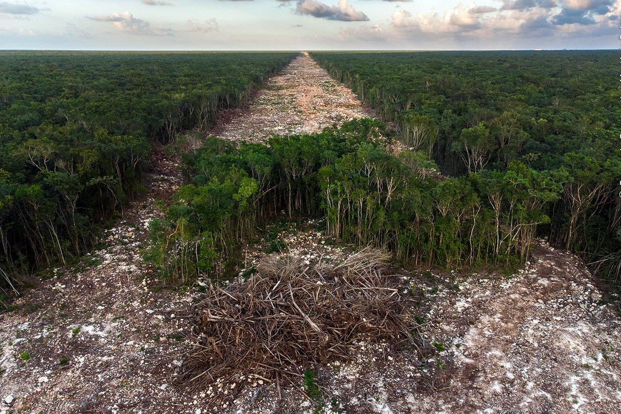 landscape-in-Paamul-in-Mexico.