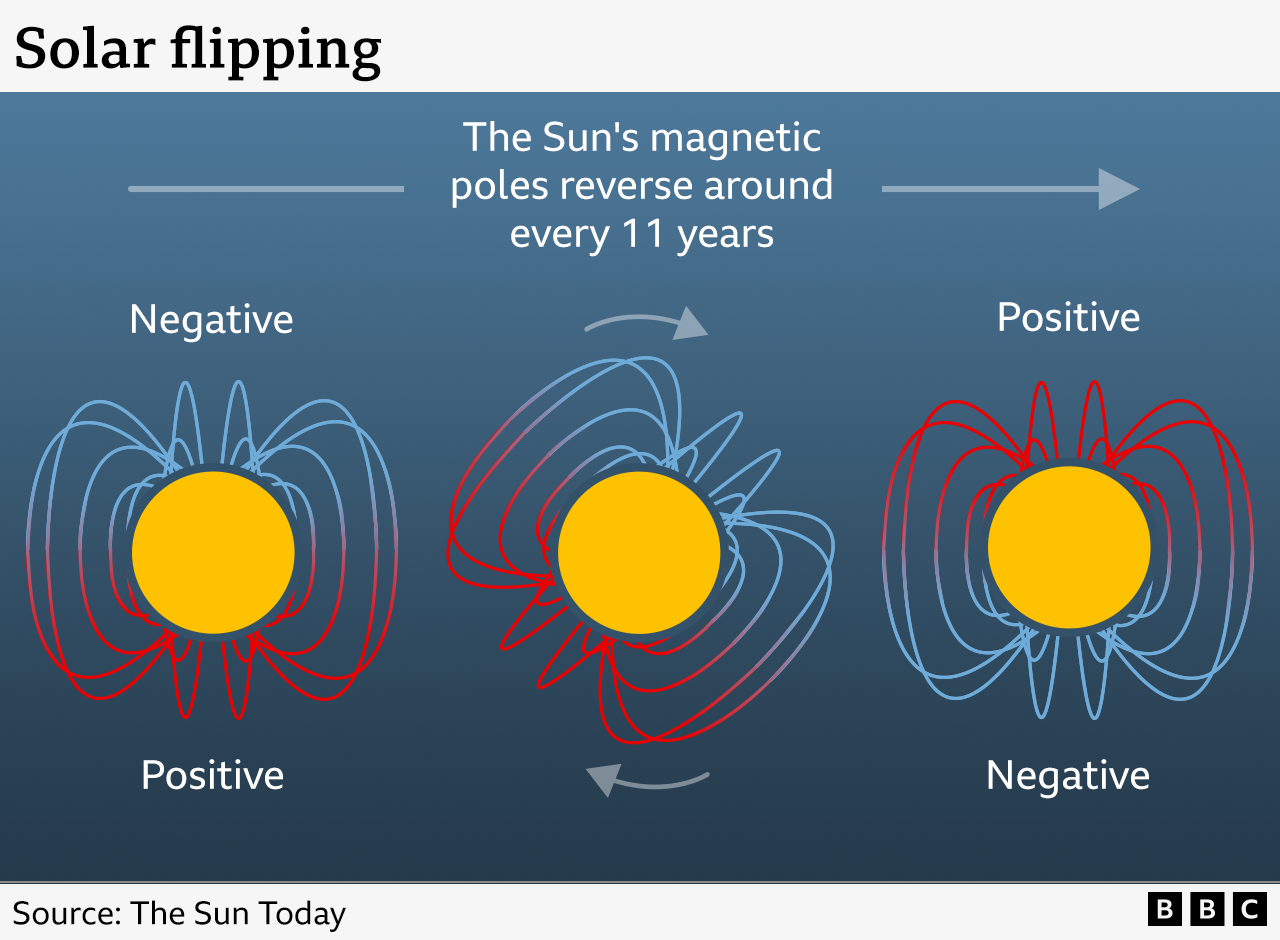 A graphic showing the Sun's magnetic poles flipping