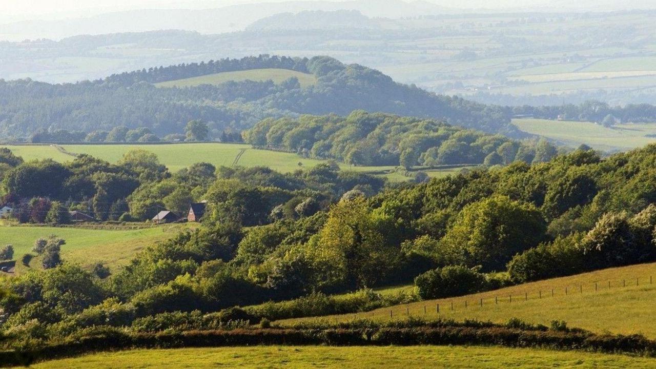 A picture of a lush green landscape with fields, trees and houses in the distance.