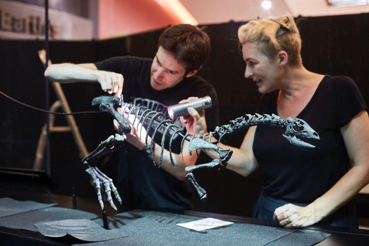 A man (left) and a woman (right) who are conservators at the Natural History Museum stand next to a black table with a black sheet behind them. They are standing next to the dinosaur specimen which is mounted on a metal frame. Its head, neck, arms, leg and one foot are visible. The woman is pointing a torch at the skeleton while the man fixes a bone onto the skeleton.