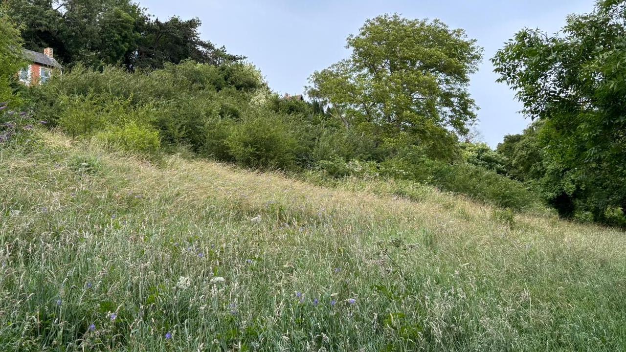 The disused field that CIC want to turn into a community farm and gardens