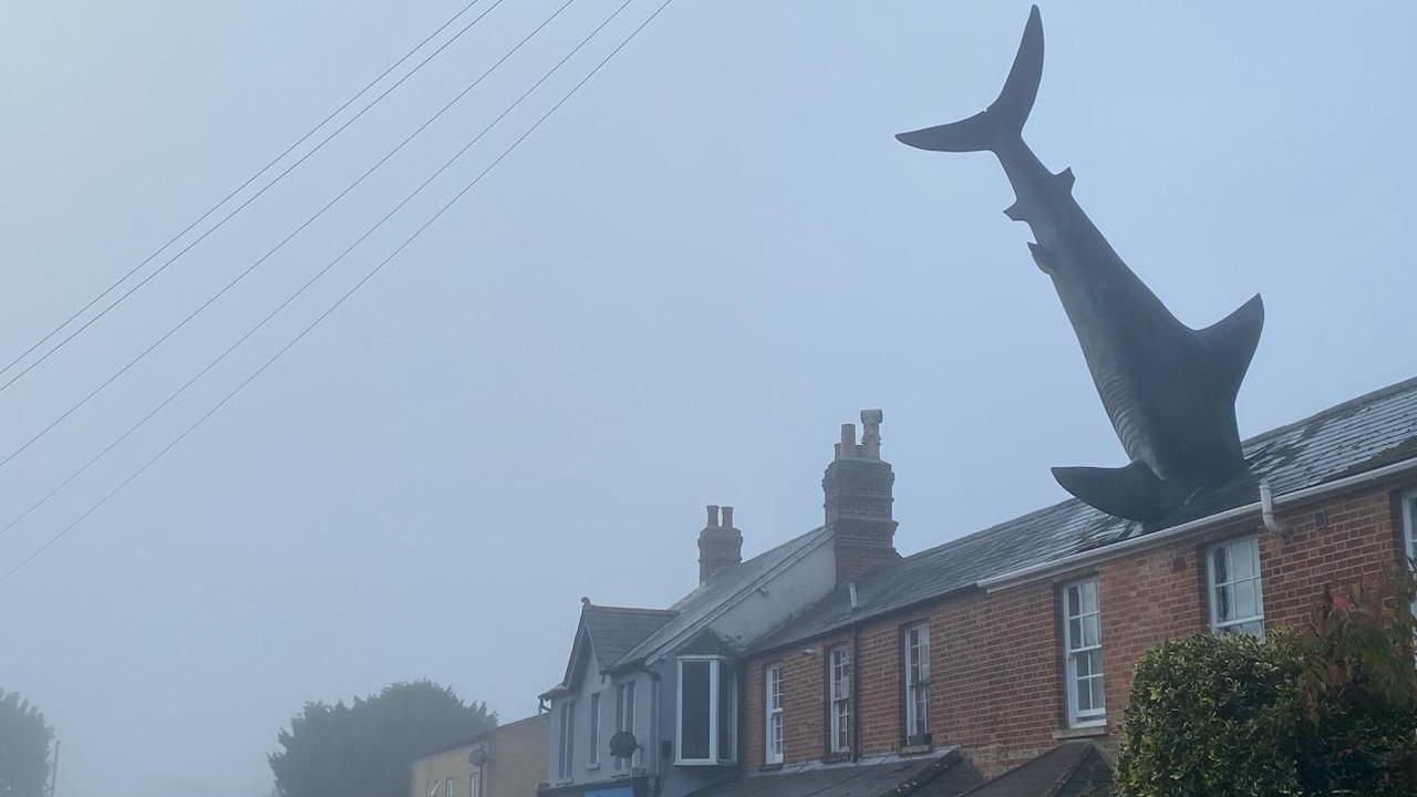 The body and tail of a shark model sticks upwards out of the roof of a terraced building. The art installation and local landmark stands against a foggy sky. A cyclist can just be seen in the bottom corner giving a sense of scale. 