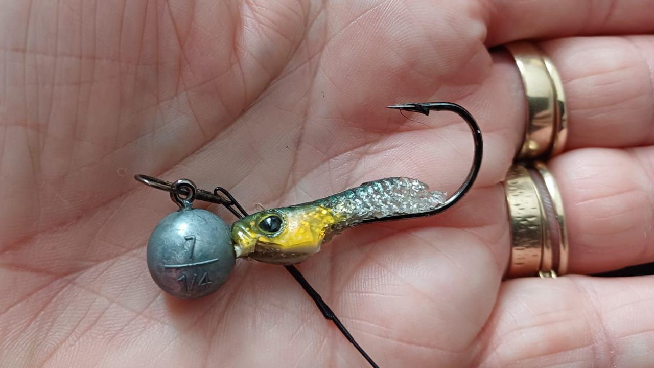 The fish lure and hook that was caught in the owl's wing. It rests in the palm of a person's hands who is wearing several gold rings on their fingers.