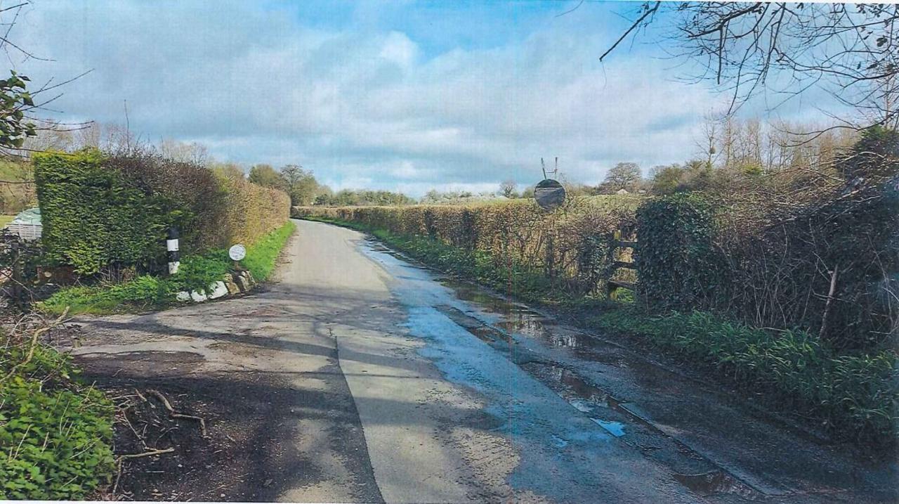 Lane with puddles near hedges