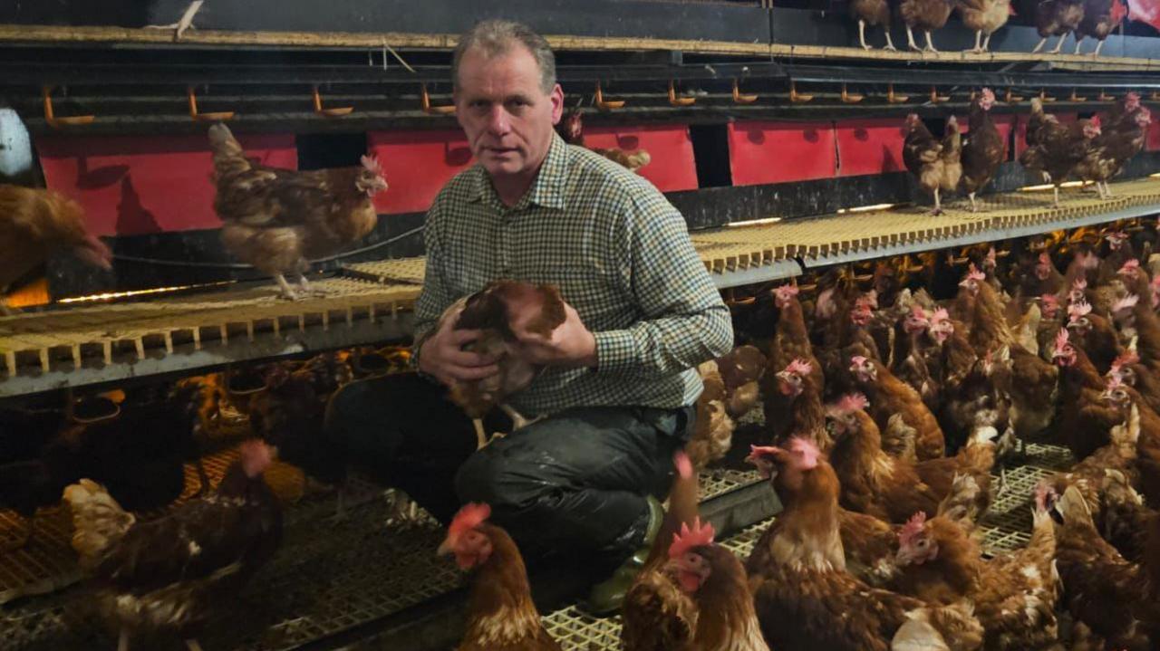 Tim Jelfs crouches in a poultry barn surrounded by dozens of hens perched on shelves. He has grey hair and wears a checked shirt and black trousers.