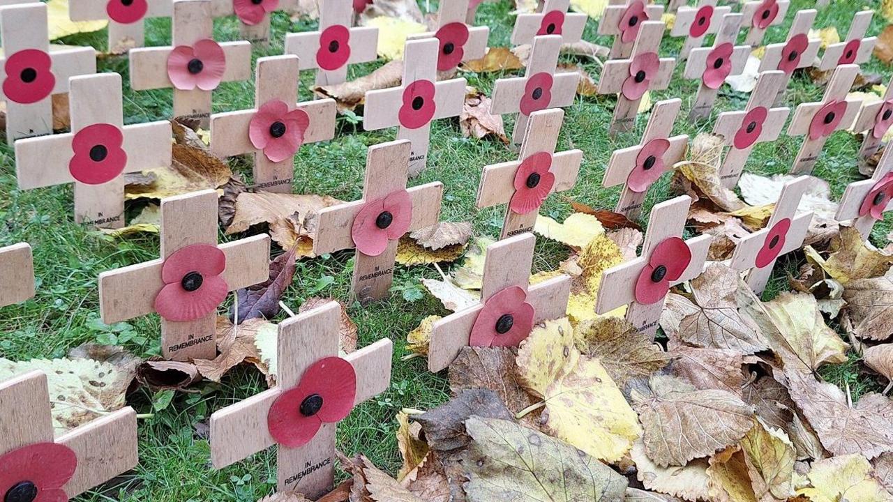 Dozens of wooden crosses are in the ground with red poppies with a black centre button, in the centre of the cross. They appear to be stuck into green grass with some brown and yellow autumn leaves lying against some of them.