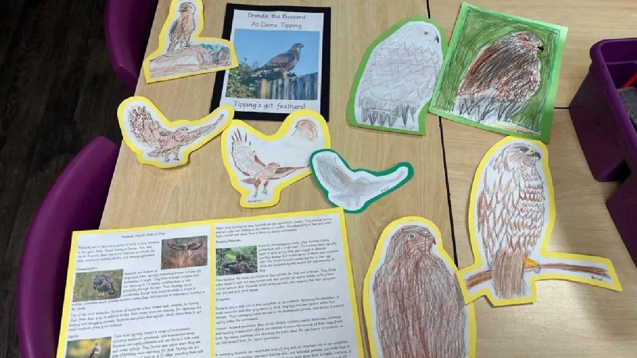 drawings of birds of prey by children at the school