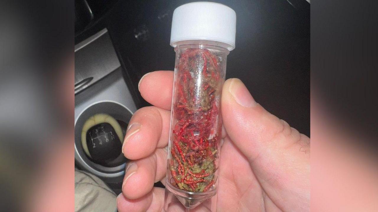 A hand holding a test tube containing the netting removed from Bear's intestine.