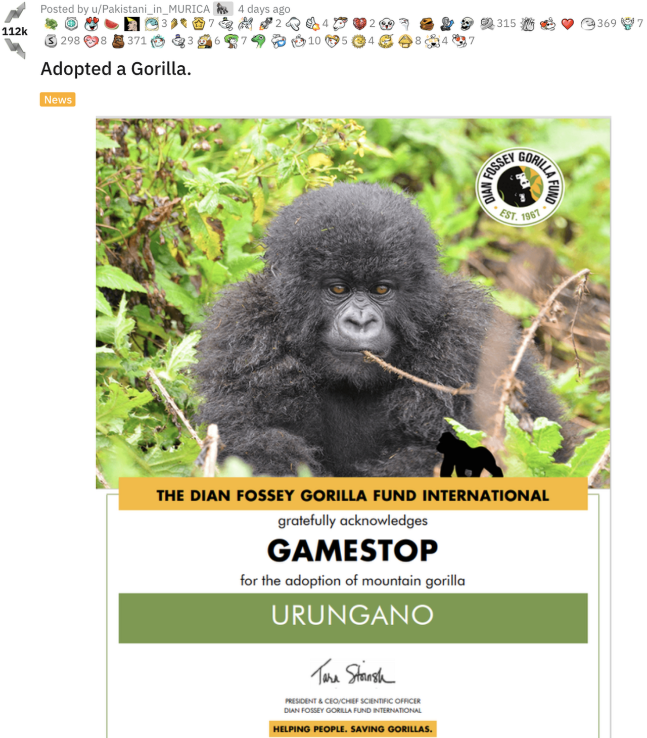 An adoption certificate showing an infant gorilla named Urungano