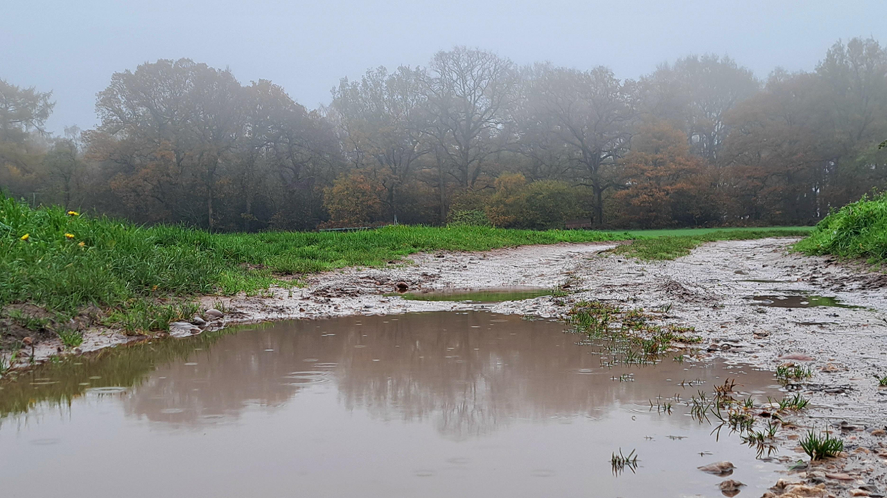 A large, muddy puddle at the side of a field near Wolverhampton. There are trees in the distance