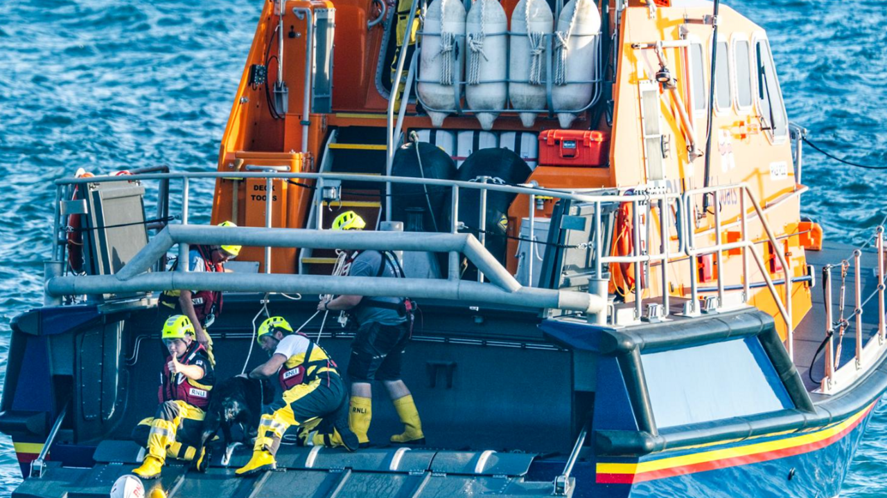 This picture shows an RNLI sea rescue operation in progress. Three crew members, dressed in yellow helmets and high-visibility RNLI gear, are helping a black dog onto a lifeboat from the water.