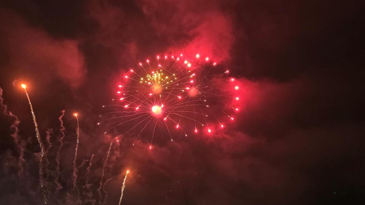 A pink firework explodes into the night sky