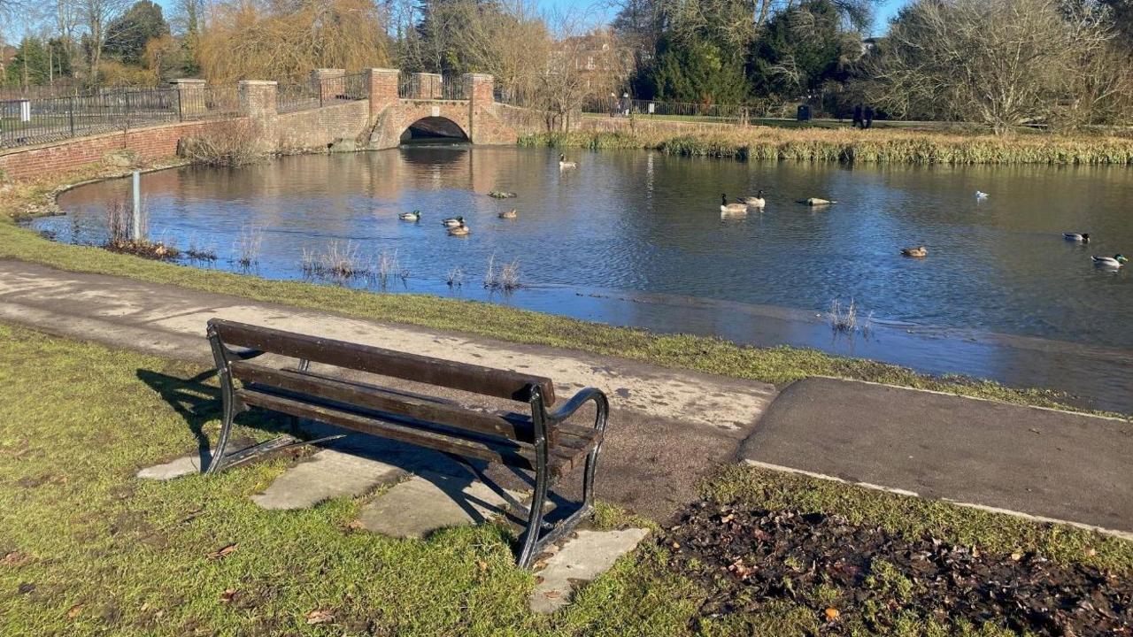 Verulamium Park, showing a lake, with ducks on, a park bench, a brick bridge, trees and grass areas around, and a blue sky. There is a concrete path by the water and reeds in the lake. 