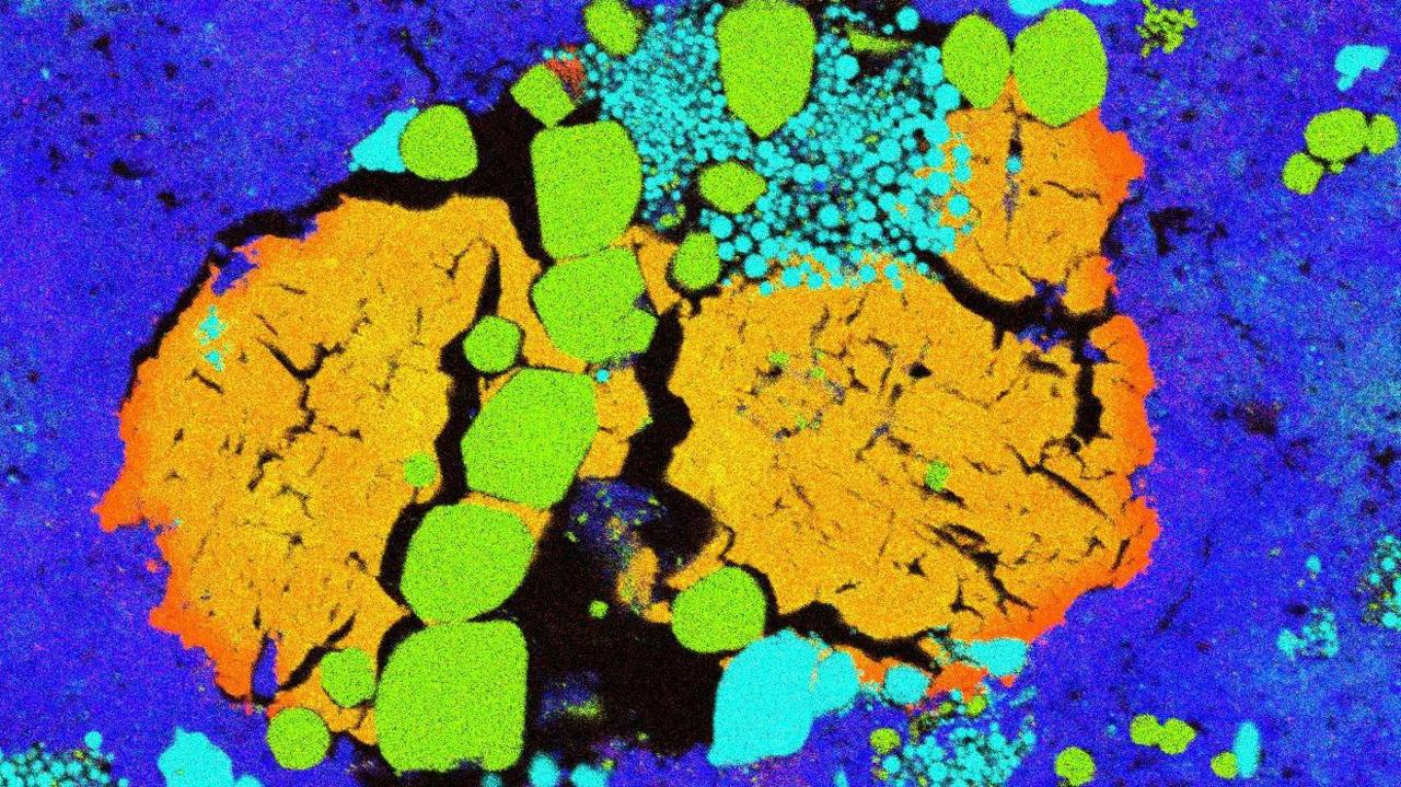 Scanning electron microscope image showing different minerals in a small sample of Bennu. The different minerals are shown in different colours. There are large orange areas on a background of deep blue, and on top smaller bright green areas, mostly in a line to the left of the picture. Clumps of smaller dots of turquoise can also be seen. 