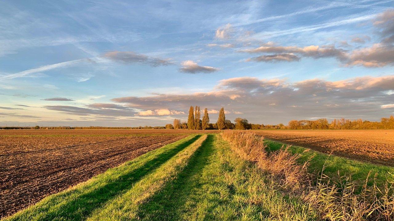 Fields in the foreground run in vertical stripes of brown, green and gold with  trees on the horizon and clouds in a light blue sky