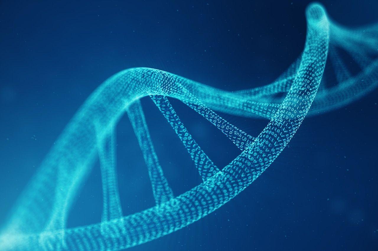 A stylised drawing of the DNA double Helix with 1s and 0s appearing in the bonds between the molecules to illustrate its synthetic nature