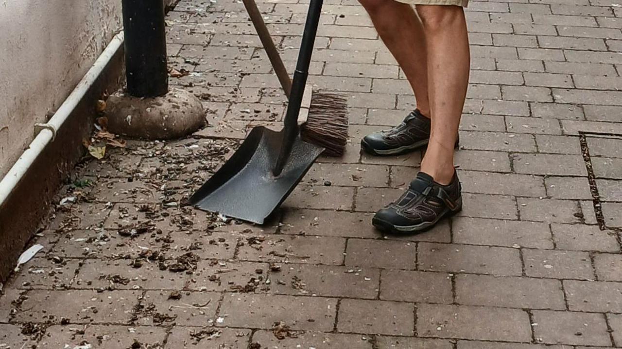 Pigeon poo on the floor of an alleyway. The bottom of a man's legs can be seen standing next to the droppings. He is also holding a shovel and a brush near to the mess.