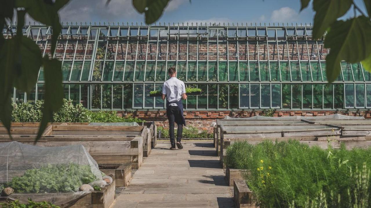 A restaurant worker holds trays of salad ingredients as he walks through a walled kitchen garden with green ingredients lined either side. A glass greenhouse is in the background