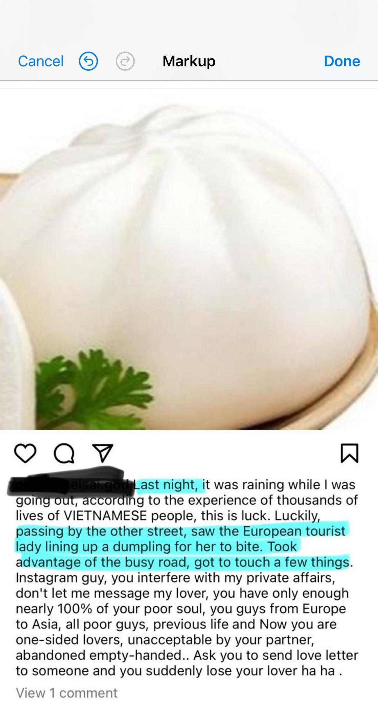 An instagram post showing a Vietnamese dumpling