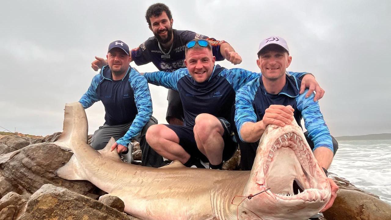 Four men, with Curtis Miller in the middle, next to a large ragged-tooth shark on rocks by the sea.