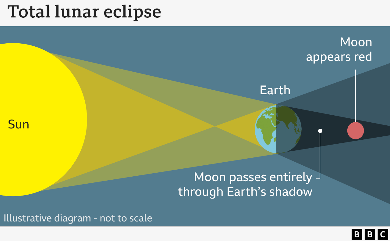 This is an illustrative diagram explaining a total lunar eclipse.
The diagram shows the Sun on the left, casting light that is blocked by Earth in the center. The Earth's shadow extends to the right, where the Moon passes entirely through it.
The diagram labels the different parts of the shadow:
A dark central shadow where the Moon appears red due to the scattering of sunlight in Earth's atmosphere.
Penumbra (lighter outer shadow), where only partial shading occurs.
The Moon is shown on the right, appearing red due to the total eclipse.
The BBC logo is present, and a note states that the diagram is not to scale.