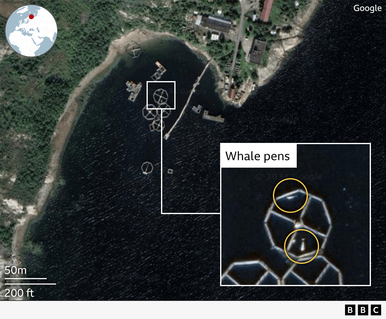 Aerial satellite image of what appear to be beluga whales in pens close to a marine base near Murmansk