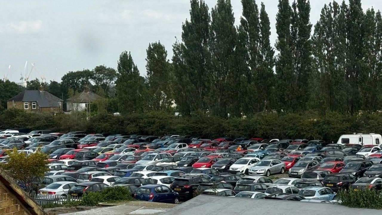 Rows of cars parked on a plot of land. 