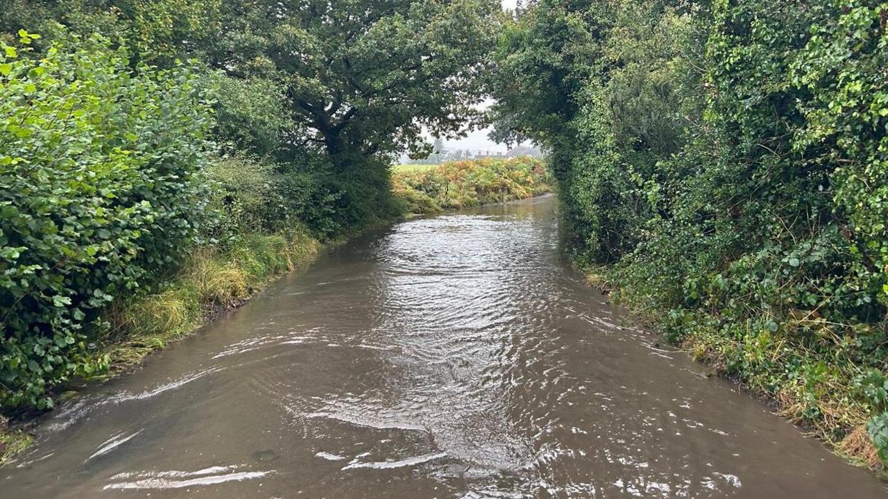 A road in Walsall that is flooded with water. Green trees line the side of the road